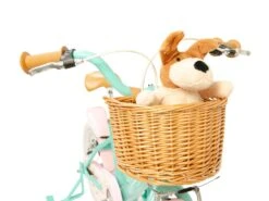 Raleigh MOLLI 16" Alloy Childrens Bike AQUA 9 Raleigh MOLLI 16" Alloy Childrens Bike AQUA -RideGear Shop k08f6458ad55d0174529d78f63e46408e