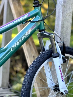 Dallingridge Melody Girls 20In Full Suspension Mountain Bike, 6 Speed -RideGear Shop k2d6d0a880975f5d6206e9cc53965c0d9