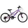 Basis Princess Girls 20In Full Suspension Mountain Bike, 6 Speed -RideGear Shop k400c3bb258e0b855640cfbbfb926060d