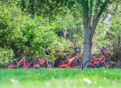 Huffy Disney Pixar Cars 16 Inch Kids Bike 5 11 Huffy Disney Pixar Cars 16 Inch Kids Bike 5 -RideGear Shop k7b109e07eaa028defaa40728f9e40650 1