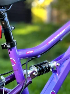 Basis Princess Girls 20In Full Suspension Mountain Bike, 6 Speed -RideGear Shop k9bee53217c00c6ca5ac407f0856b0e9a