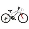 DRB Brave Junior Hardtail Mountain Bike, 20In Wheel, 6 Speed