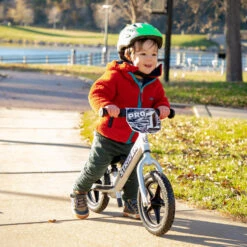 12 Pro Silver -RideGear Shop ka57c18b34874b0f996c7e6b70e5c6b1b