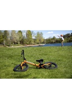 Strider 14x Tangerine -RideGear Shop kae5aff6d4f2020ec34553a7677a98e31