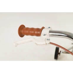 16" Vintage Bicycle -RideGear Shop ke9e36973be0f0c3779b5939442764852