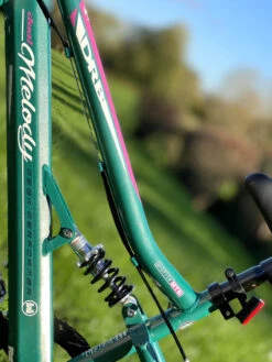 Dallingridge Melody Girls 20In Full Suspension Mountain Bike, 6 Speed -RideGear Shop keab890030cdc5cc0580536156002b2ac